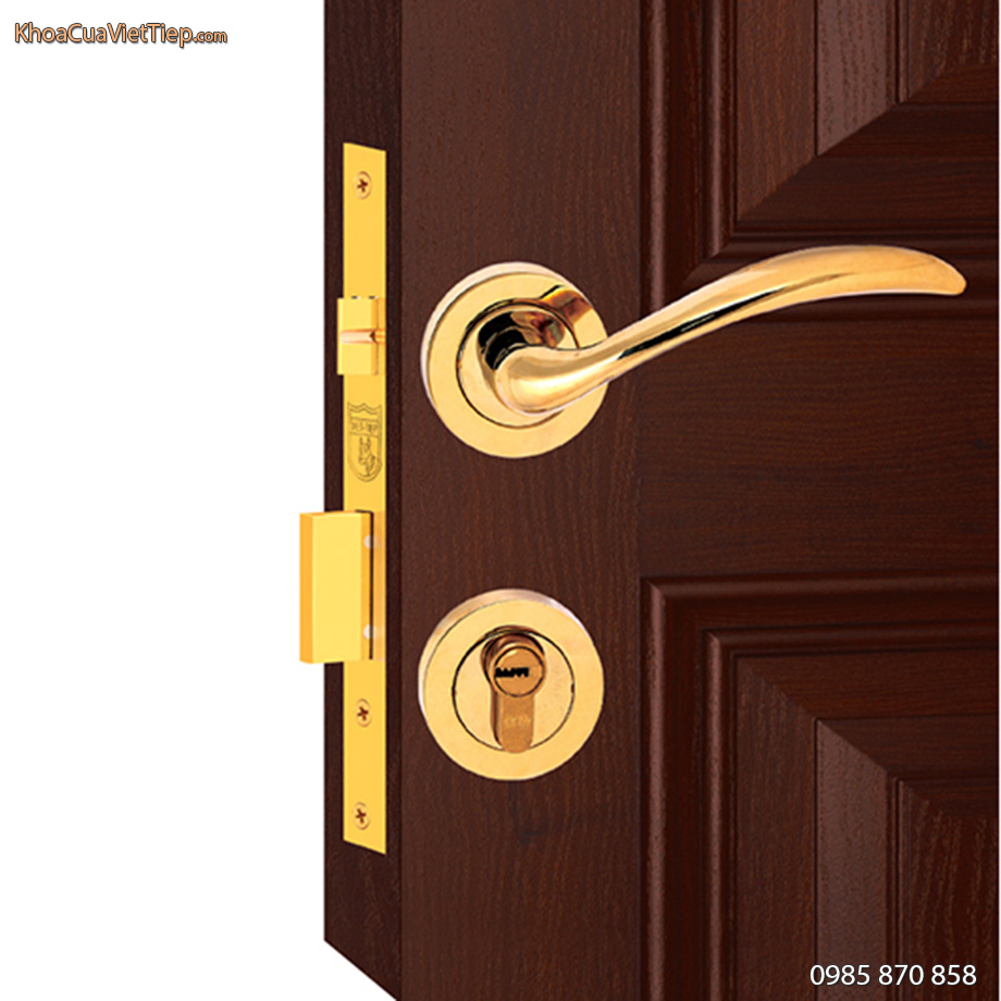 Khóa Đồng Phân Thể Việt Tiệp 04088